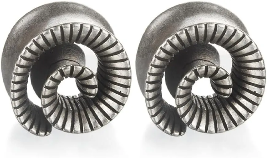 2PCS Cool Vintage Skull Swirl Tunnels Ear Plugs Gauges for Ears Stainless Steel Ear Expander Stretcher Piercing Spiral Ear Gauges Body Jewelry
