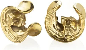 2PCS Cool Vintage Skull Swirl Tunnels Ear Plugs Gauges for Ears Stainless Steel Ear Expander Stretcher Piercing Spiral Ear Gauges Body Jewelry